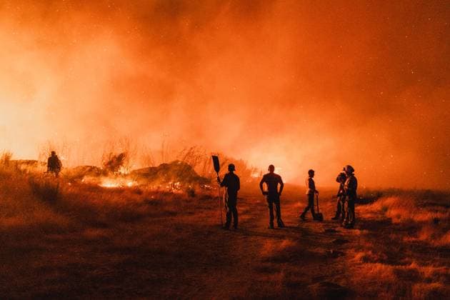 Pictures of the year 2025, News 08 August