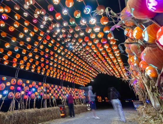 Canada, Pumpkins After Dark event in Milton