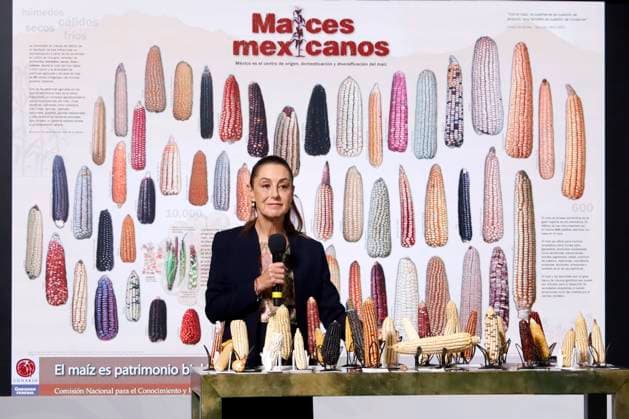Mexico, Claudia Sheinbaum Press conference in Mexico City