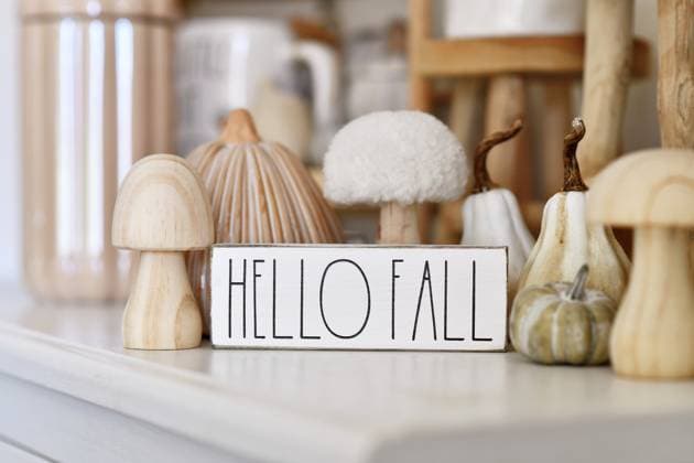IMAGO Creative, Autumn, Beige Mood Board