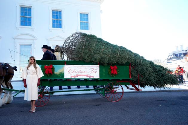 Melania Trump - Christmas tree delivery in front of the White House