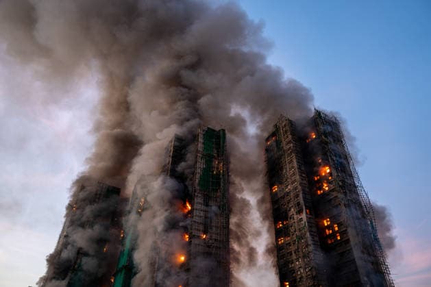 Pictures of the year 2025, News 11 November