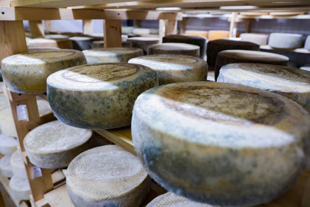 Cheese Day on 4 June