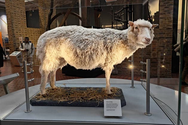 Dolly the cloned sheep is born, 30th anniversary on 5 July