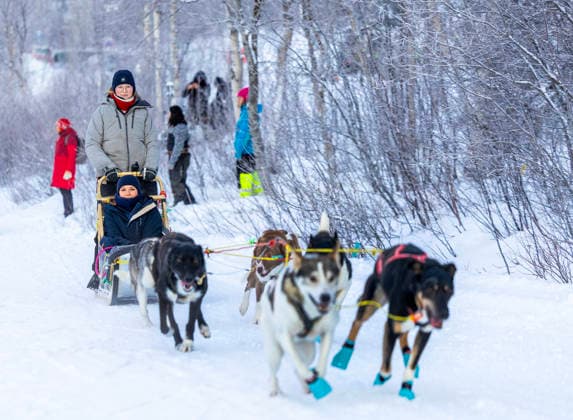 Princess Ingrid Alexandra on a dog sled ride in Kirkenes