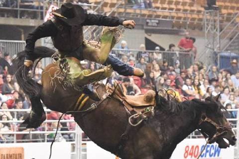 Canada, Rodeo in Edmonton