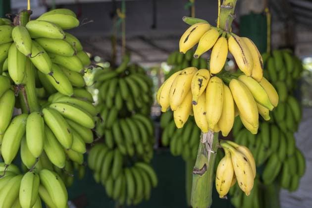 Banana Day on 15 April, archive images