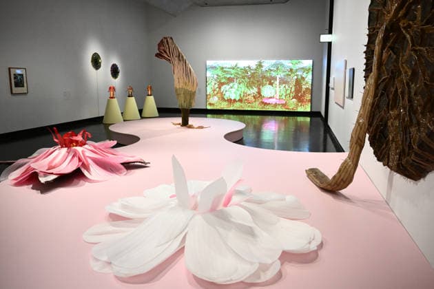 A Velvet Ant, A Flower And A Bird exhibition in Melbourne