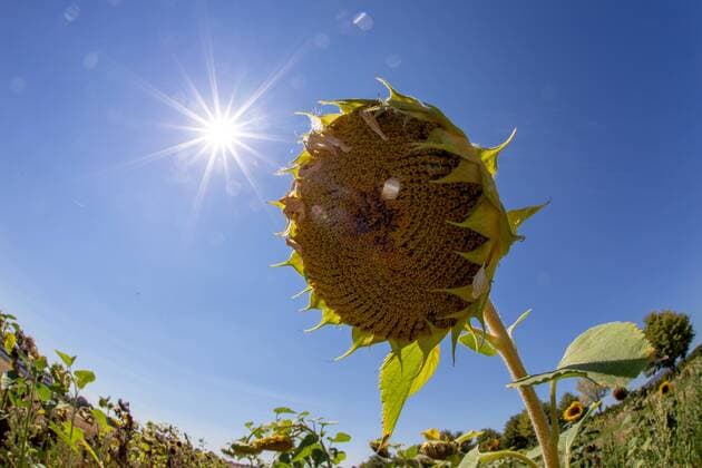 UN Report, Warmest Decade in History 2010-2019