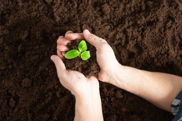 World Environment Day on 5 June