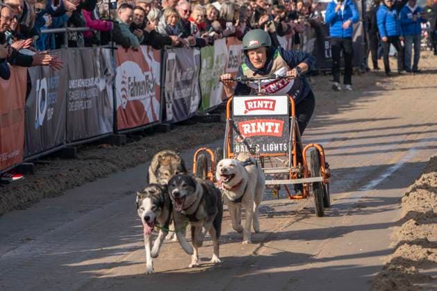 Baltic Lights sled dog race on Usedom
