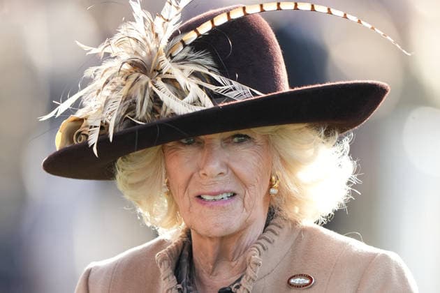 Cheltenham Festival, royal and celebrity guests