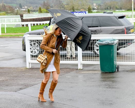 Cheltenham Festival, royal and celebrity guests