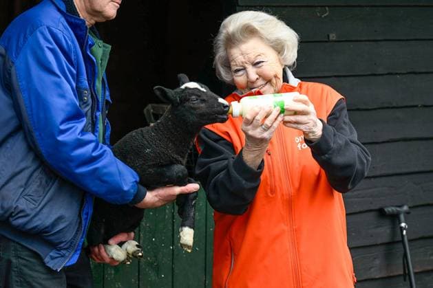Princess Beatrix at NLdoet volunteer event in Amsterdam