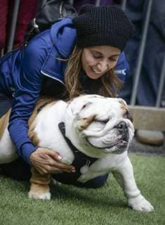 Canada, dog show Pet-A-Palooza in Vancouver