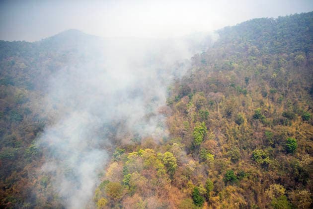 Thailand, forest fire in Chiang Mai
