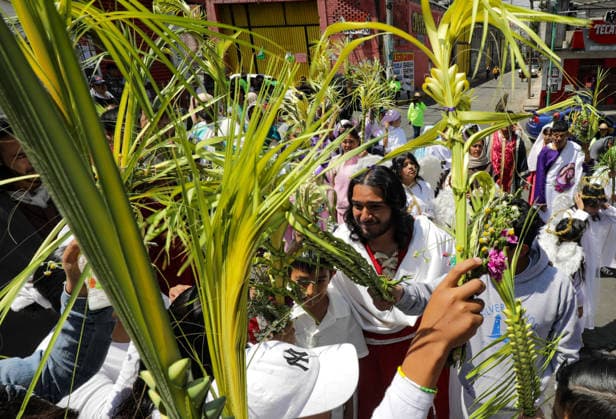 Mexico, Palm Sunday in Mexico City