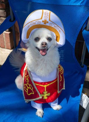 USA, Blessing of animals before Easter on Olvera Street in Los Angeles with Archbishop Jose Gomez