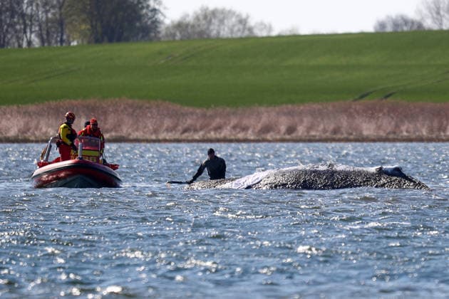 News pictures of the day