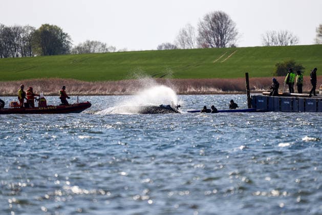 Mecklenburg-Western Pomerania, Whale rescue off Poel - DLRG announces withdrawal - Archive pictures