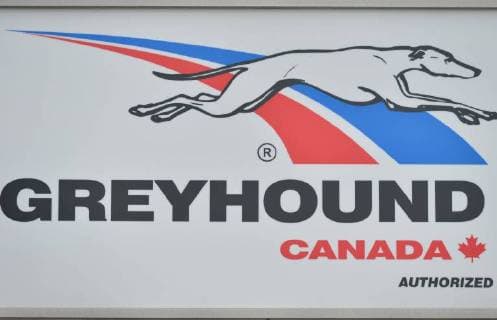 Transportation company Greyhound ends business in Canada - Artchive Images
