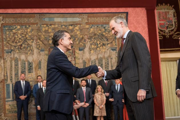 Royals, Spain, Audience of King Felipe in Madrid
