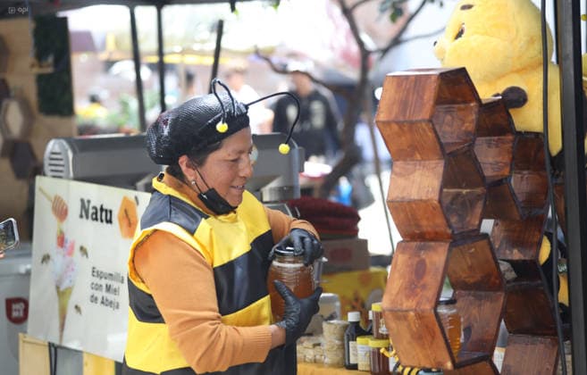 World Bee Day, event in Cuenca, Ecuador