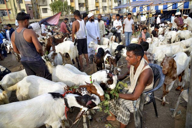 India, preparations for the Islamic festival of Eid al-Adha in Patna