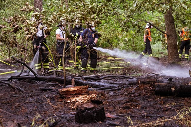 Hesse, forest fire near Weiterstadt