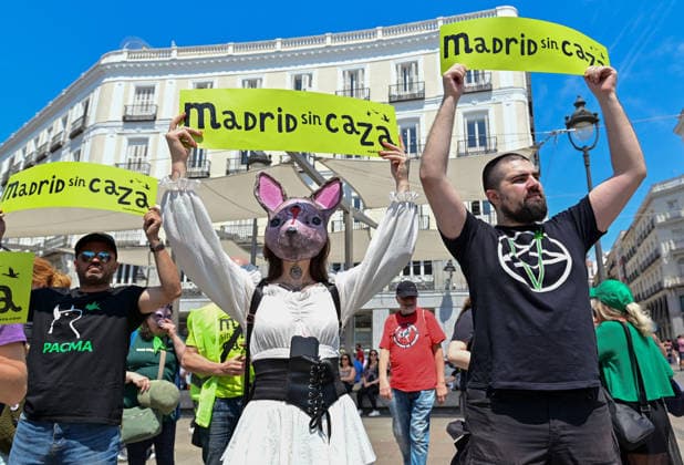 Spain, demonstration in favour of a hunting ban in Madrid