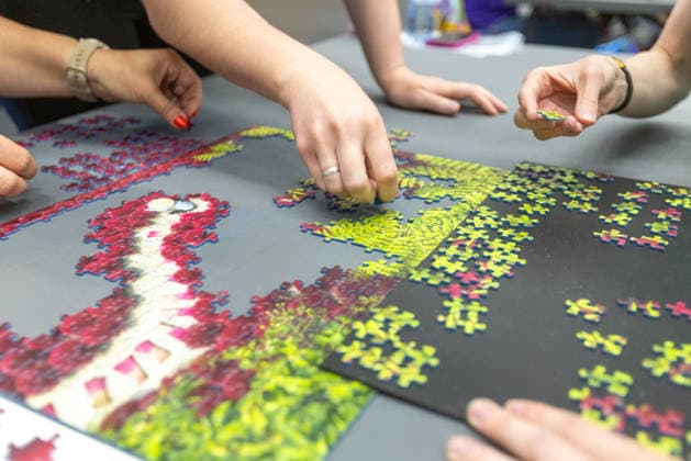 Czech Republic, Puzzle competition in Ostrava