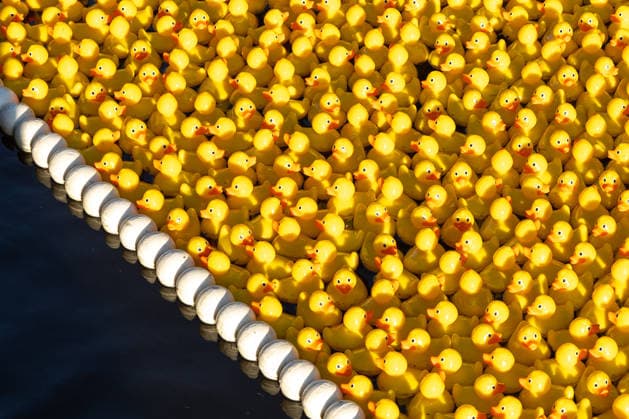 Estonia, duck race as a charity event for children with cancer in Kadriorg Park in Tallinn