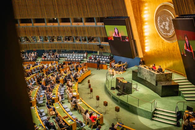 New York, election to the UN Security Council