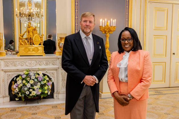 Royals, King Willem-Alexander of the Netherlands receives diplomats in The Hague