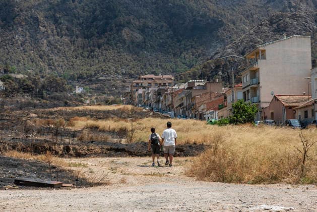 Spain, forest fire in Los Garres