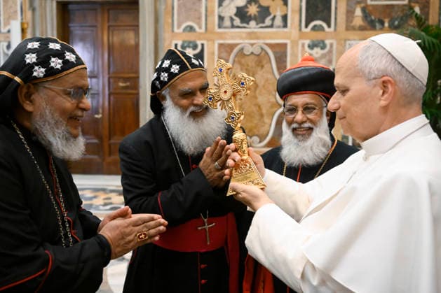 Vatican, audience with Pope Leo XIV.