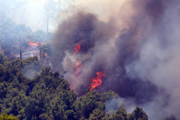Italy, forest fire in Salemi