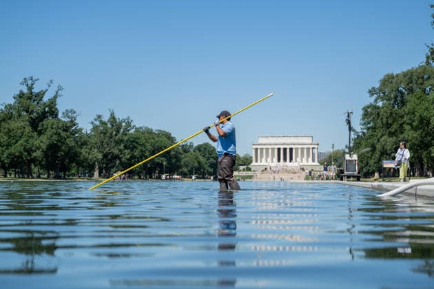 Washington: Lincoln Memorial Reflecting Pool infested with algae following its redesign