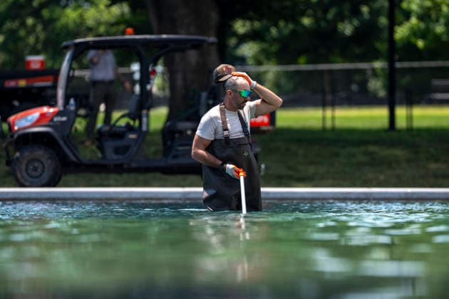 Washington: Lincoln Memorial Reflecting Pool infested with algae following its redesign