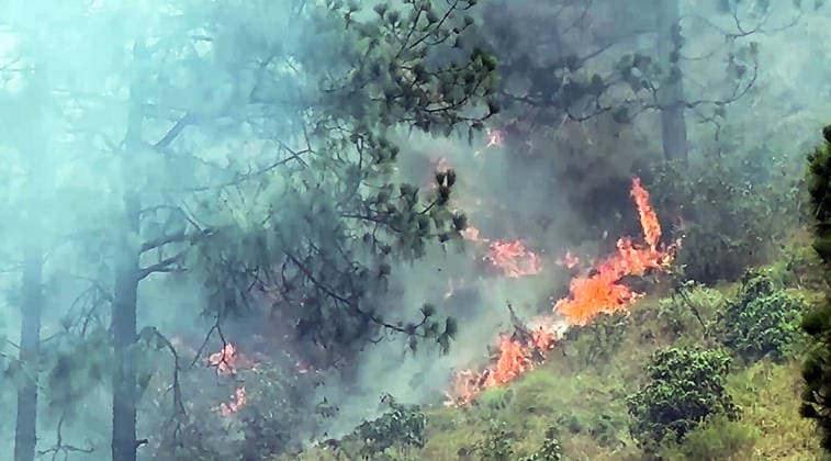 India, forest fire in Reasi