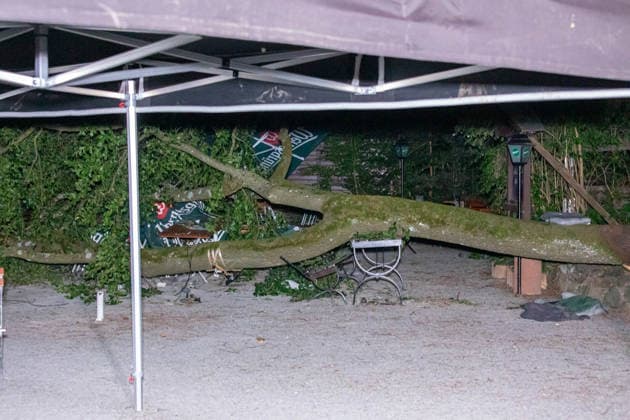 Saxony: Tree branch falls on beer equipment in Steinberg