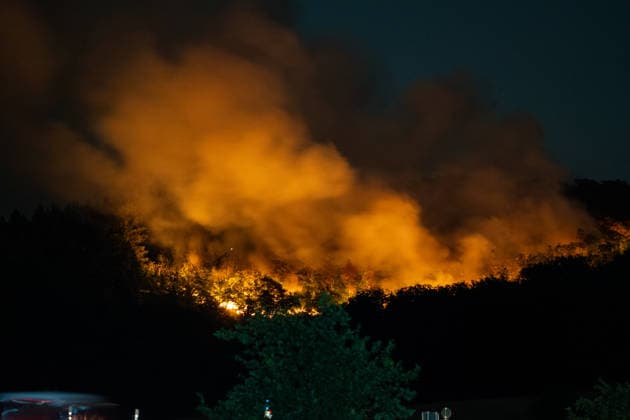 Rhineland-Palatinate, forest fire near Traisen