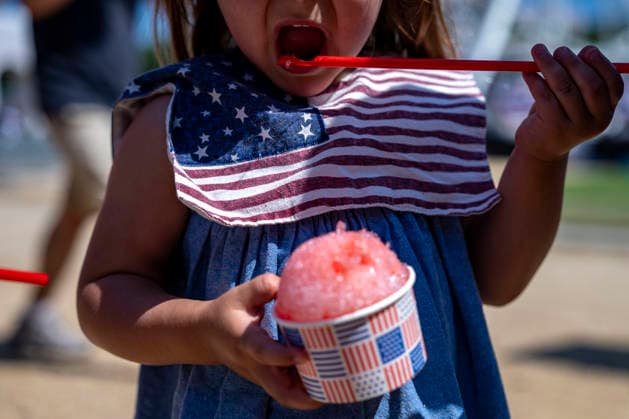 USA, Great American State Fair in Washington DC