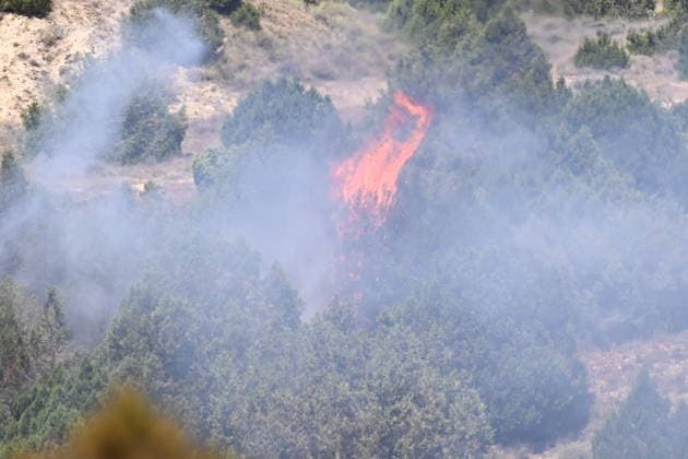 Spain: Civil protection measures against forest fires in Zaragoza