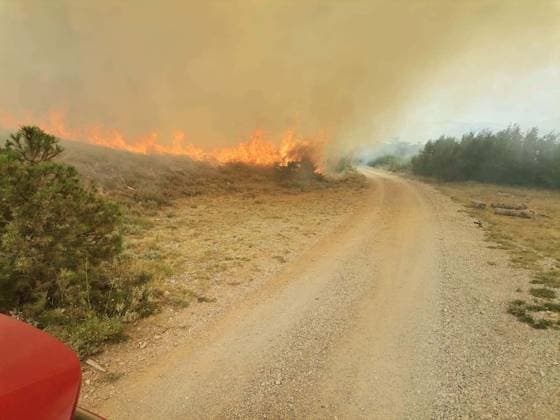 Croatia, forest fire near Senj