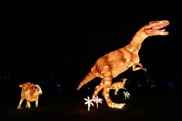 Australia, Illuminate Adelaide
