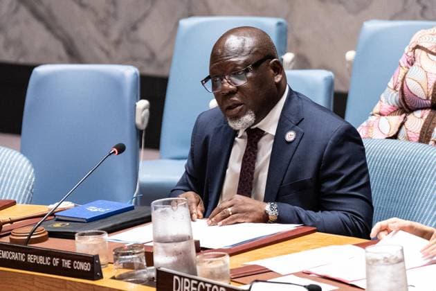 New York, UN Security Council meeting