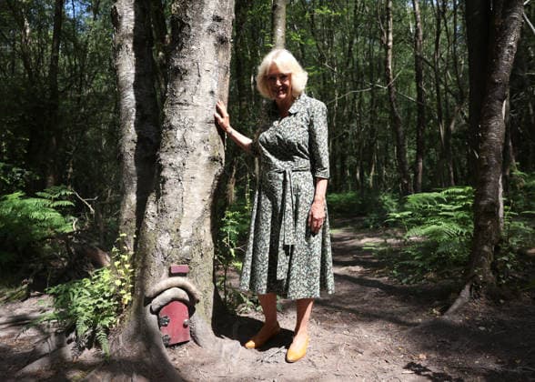 Royals: Queen Camilla attends Winnie-the-Pooh anniversary celebrations in Ashdown Forest
