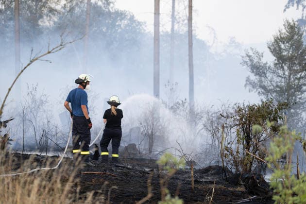 Hesse: Fighting a forest fire in Weilrod