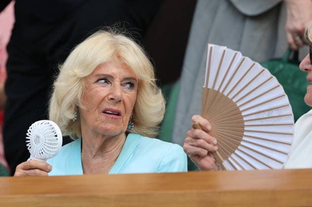Entertainment: Pictures of the Day
